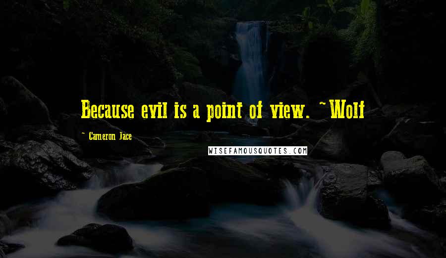 Cameron Jace Quotes: Because evil is a point of view. ~Wolf