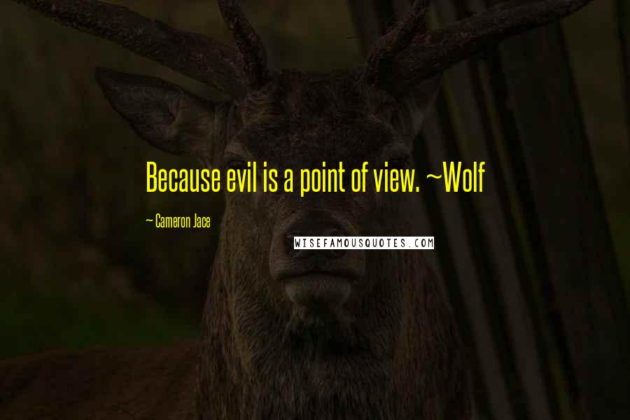 Cameron Jace Quotes: Because evil is a point of view. ~Wolf