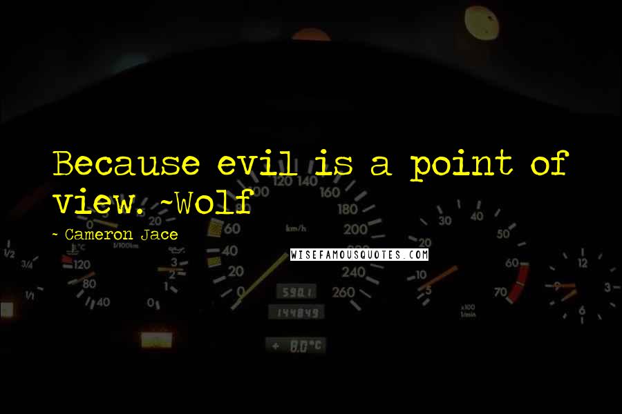 Cameron Jace Quotes: Because evil is a point of view. ~Wolf