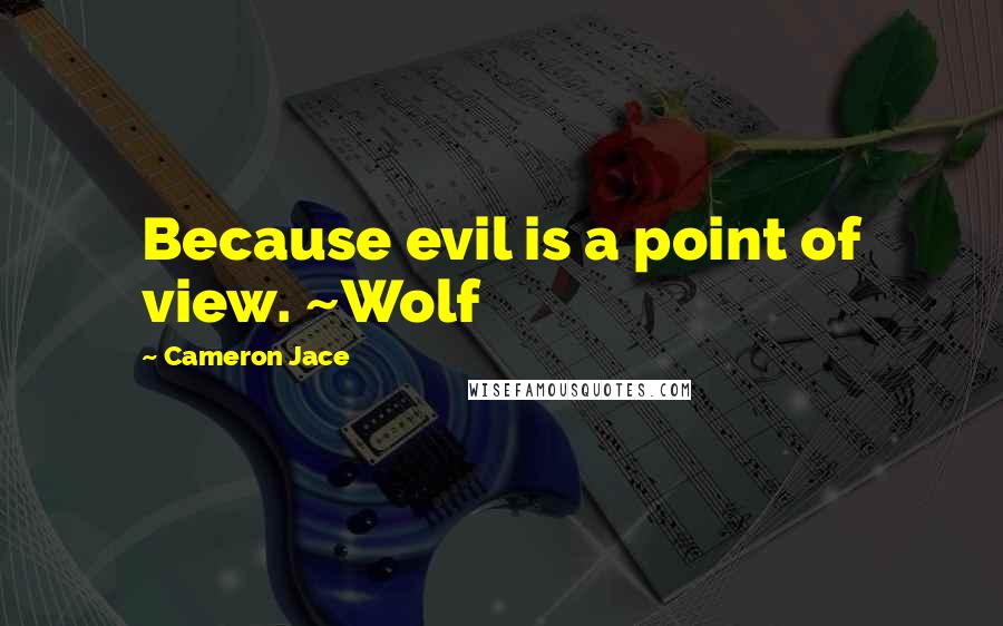 Cameron Jace Quotes: Because evil is a point of view. ~Wolf