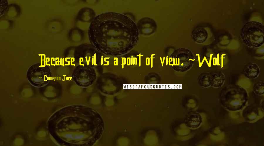 Cameron Jace Quotes: Because evil is a point of view. ~Wolf