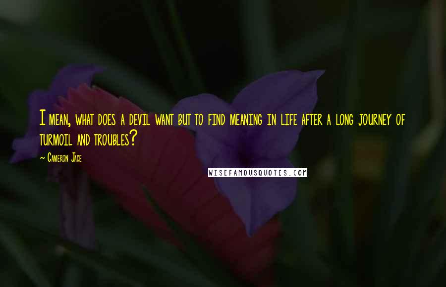 Cameron Jace Quotes: I mean, what does a devil want but to find meaning in life after a long journey of turmoil and troubles?