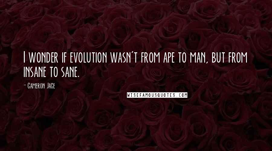 Cameron Jace Quotes: I wonder if evolution wasn't from ape to man, but from insane to sane.