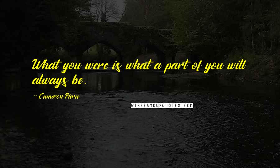 Cameron Pierce Quotes: What you were is what a part of you will always be.