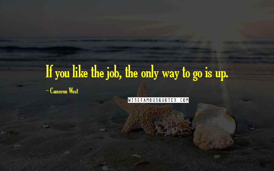 Cameron West Quotes: If you like the job, the only way to go is up.