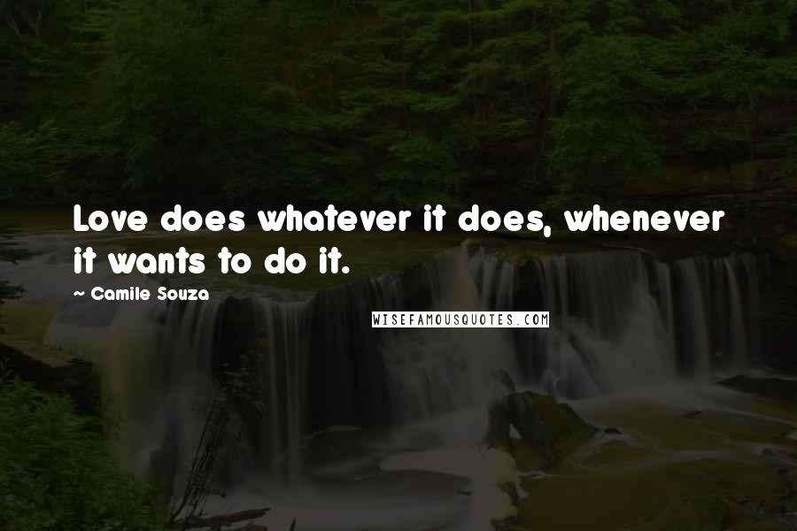 Camile Souza Quotes: Love does whatever it does, whenever it wants to do it.