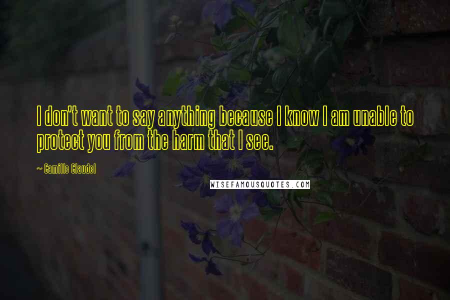 Camille Claudel Quotes: I don't want to say anything because I know I am unable to protect you from the harm that I see.