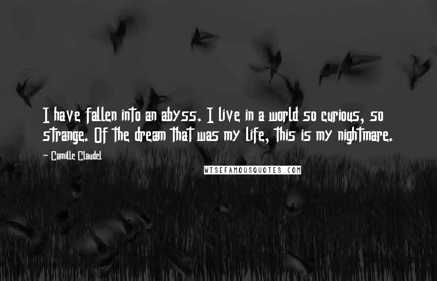 Camille Claudel Quotes: I have fallen into an abyss. I live in a world so curious, so strange. Of the dream that was my life, this is my nightmare.