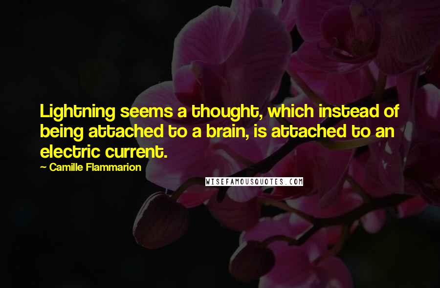 Camille Flammarion Quotes: Lightning seems a thought, which instead of being attached to a brain, is attached to an electric current.