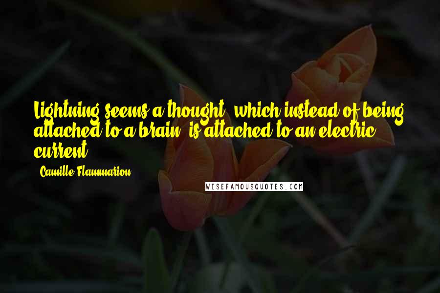 Camille Flammarion Quotes: Lightning seems a thought, which instead of being attached to a brain, is attached to an electric current.