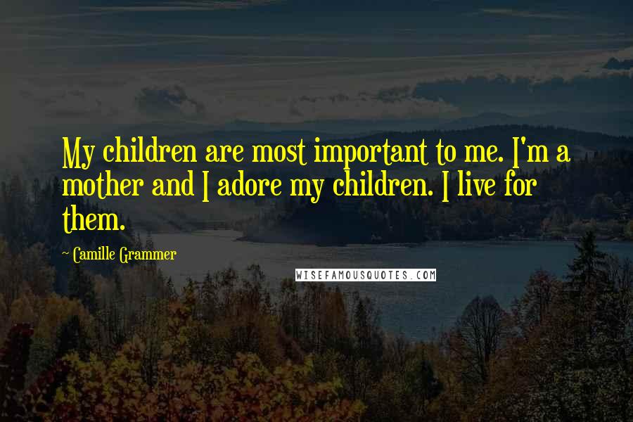 Camille Grammer Quotes: My children are most important to me. I'm a mother and I adore my children. I live for them.