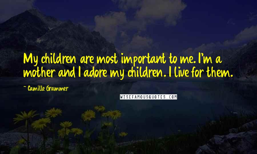 Camille Grammer Quotes: My children are most important to me. I'm a mother and I adore my children. I live for them.