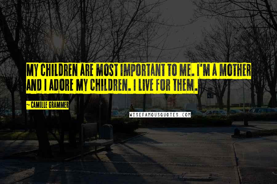 Camille Grammer Quotes: My children are most important to me. I'm a mother and I adore my children. I live for them.