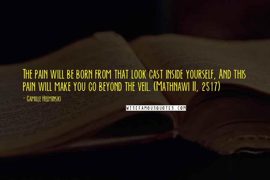 Camille Helminski Quotes: The pain will be born from that look cast inside yourself, And this pain will make you go beyond the veil. (Mathnawi II, 2517)