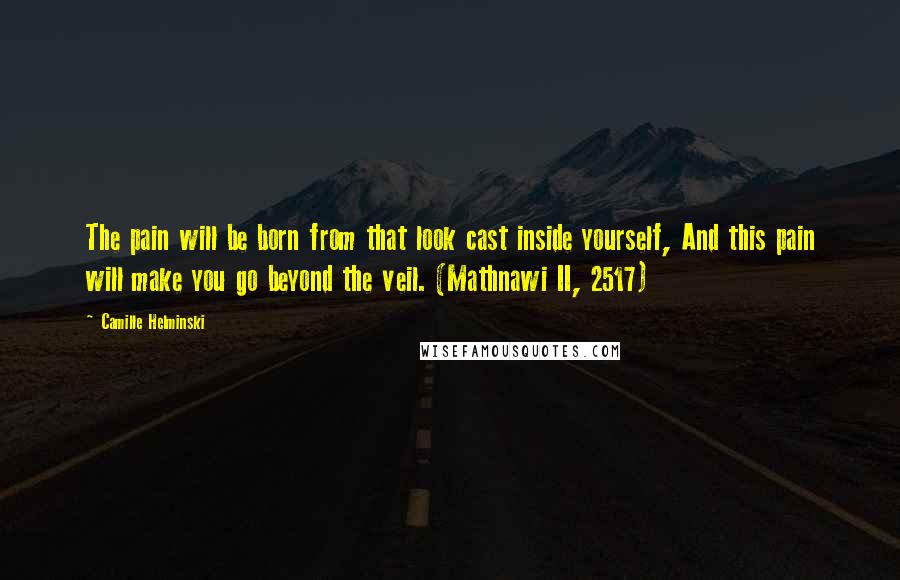 Camille Helminski Quotes: The pain will be born from that look cast inside yourself, And this pain will make you go beyond the veil. (Mathnawi II, 2517)