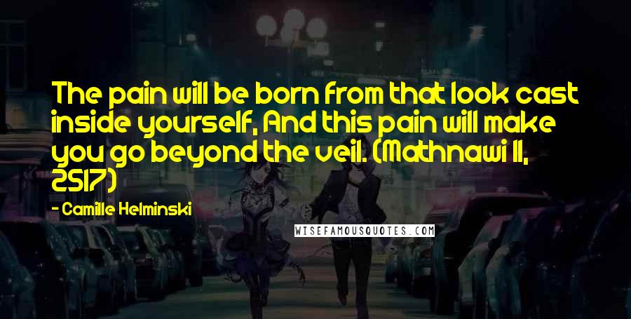 Camille Helminski Quotes: The pain will be born from that look cast inside yourself, And this pain will make you go beyond the veil. (Mathnawi II, 2517)