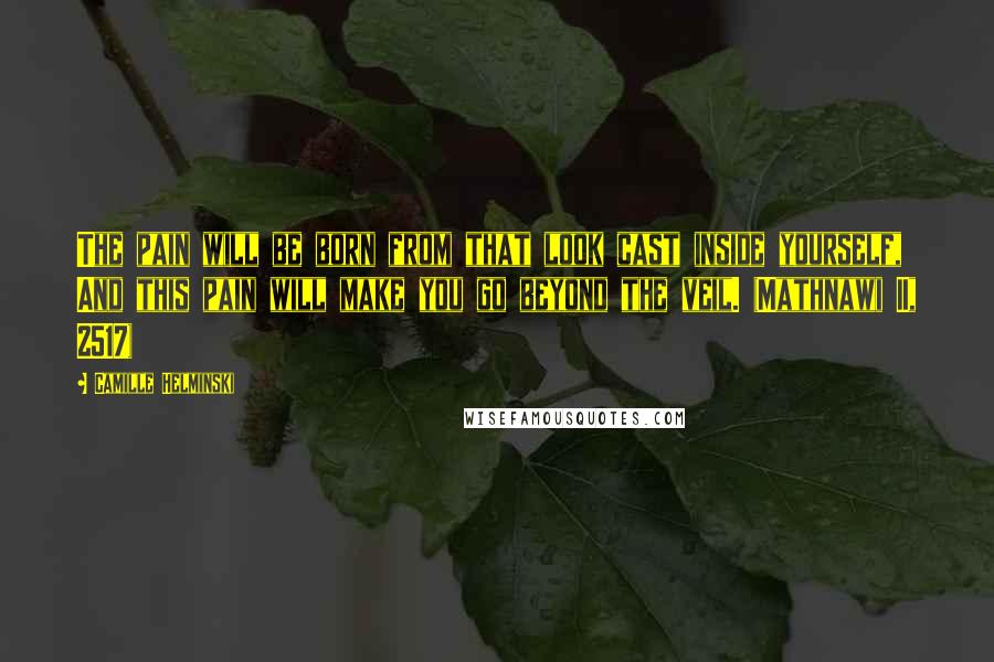 Camille Helminski Quotes: The pain will be born from that look cast inside yourself, And this pain will make you go beyond the veil. (Mathnawi II, 2517)