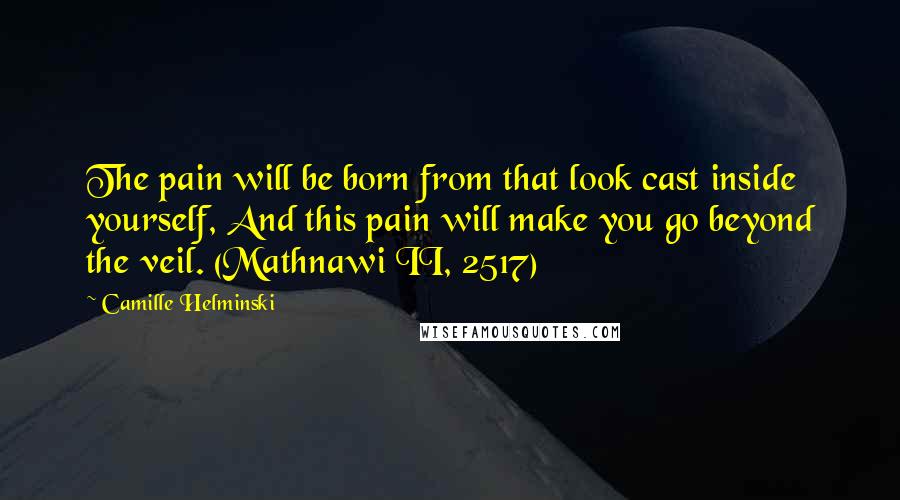 Camille Helminski Quotes: The pain will be born from that look cast inside yourself, And this pain will make you go beyond the veil. (Mathnawi II, 2517)