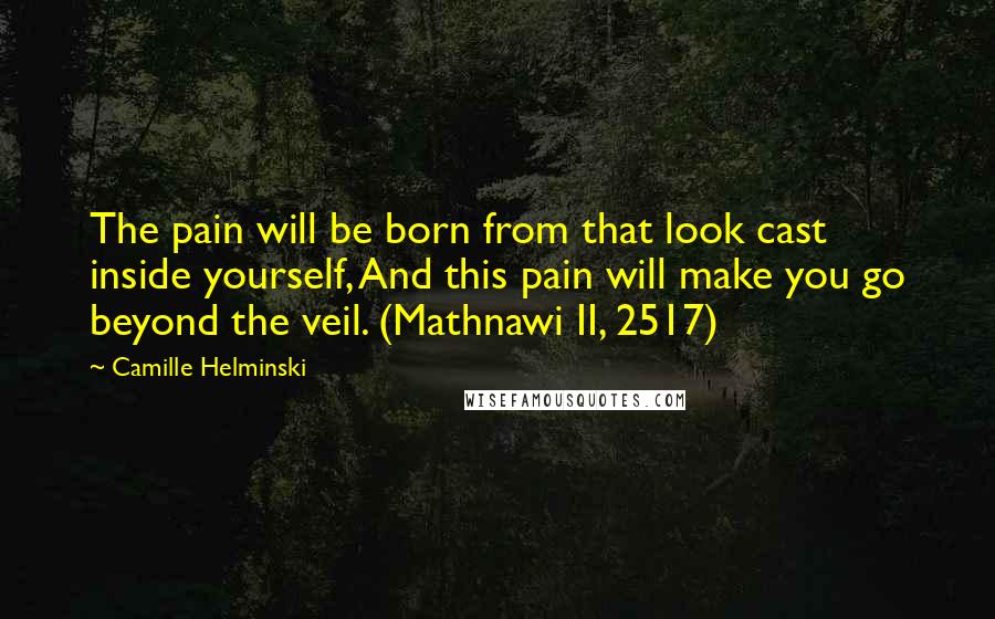 Camille Helminski Quotes: The pain will be born from that look cast inside yourself, And this pain will make you go beyond the veil. (Mathnawi II, 2517)