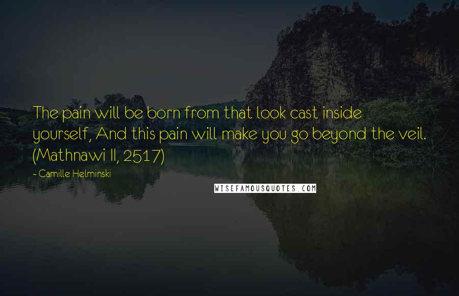 Camille Helminski Quotes: The pain will be born from that look cast inside yourself, And this pain will make you go beyond the veil. (Mathnawi II, 2517)