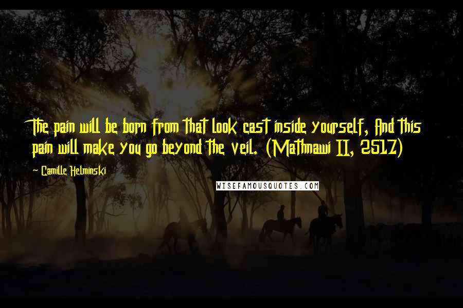 Camille Helminski Quotes: The pain will be born from that look cast inside yourself, And this pain will make you go beyond the veil. (Mathnawi II, 2517)