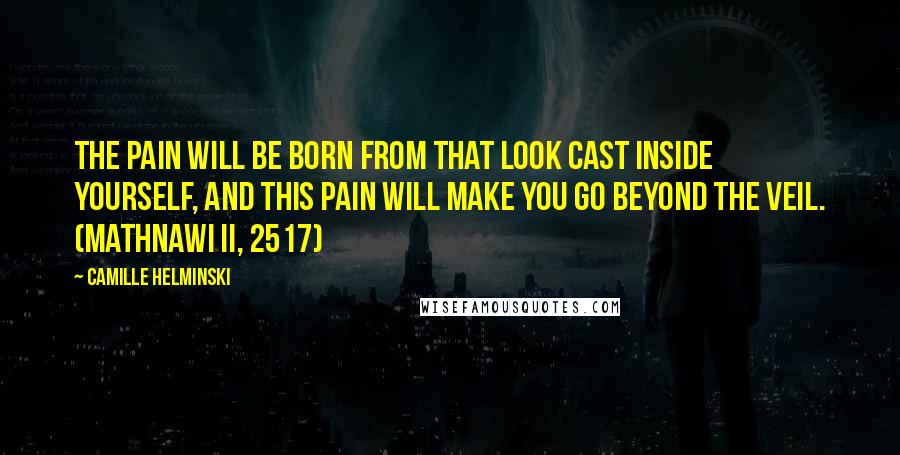 Camille Helminski Quotes: The pain will be born from that look cast inside yourself, And this pain will make you go beyond the veil. (Mathnawi II, 2517)