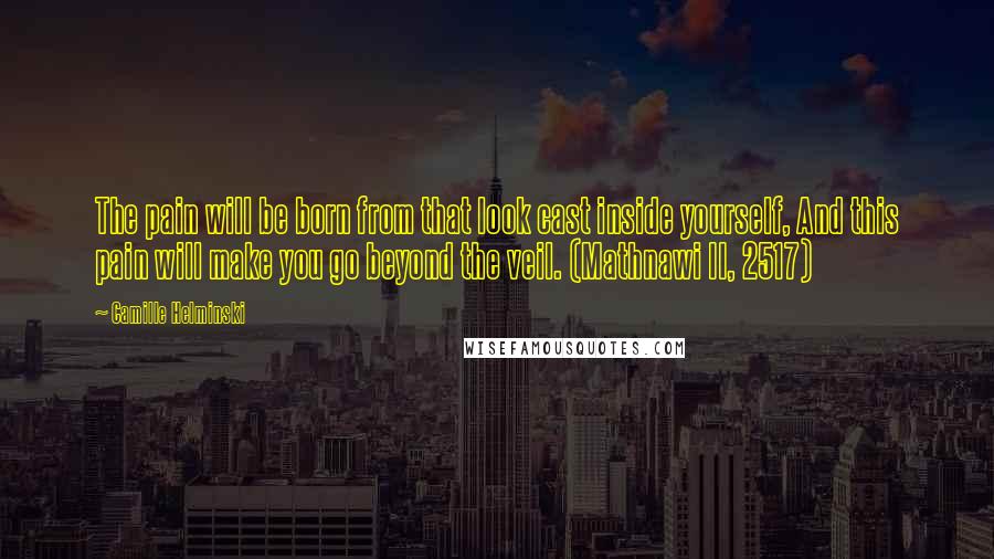 Camille Helminski Quotes: The pain will be born from that look cast inside yourself, And this pain will make you go beyond the veil. (Mathnawi II, 2517)