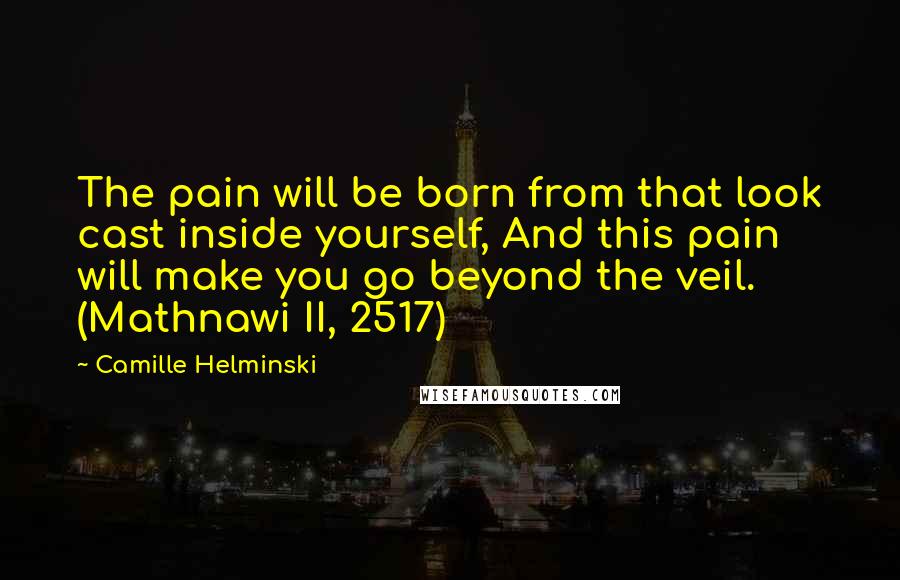 Camille Helminski Quotes: The pain will be born from that look cast inside yourself, And this pain will make you go beyond the veil. (Mathnawi II, 2517)