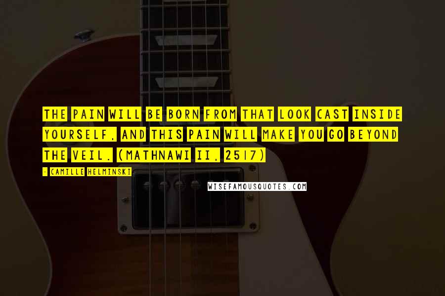 Camille Helminski Quotes: The pain will be born from that look cast inside yourself, And this pain will make you go beyond the veil. (Mathnawi II, 2517)