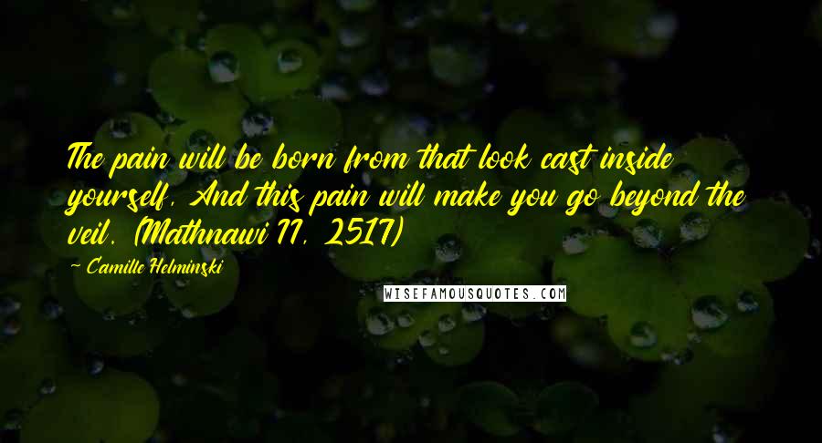 Camille Helminski Quotes: The pain will be born from that look cast inside yourself, And this pain will make you go beyond the veil. (Mathnawi II, 2517)