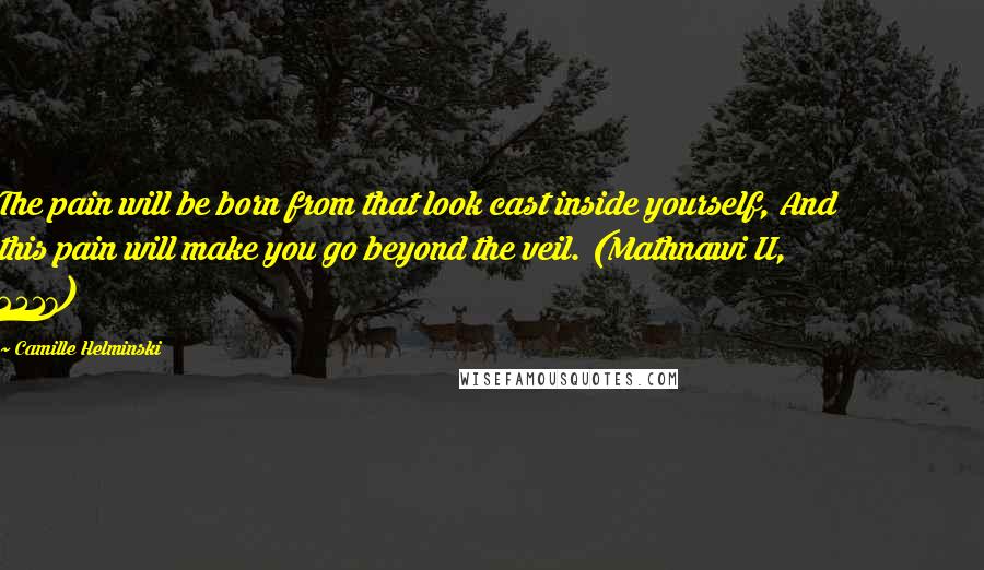 Camille Helminski Quotes: The pain will be born from that look cast inside yourself, And this pain will make you go beyond the veil. (Mathnawi II, 2517)
