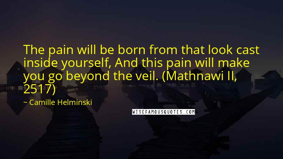 Camille Helminski Quotes: The pain will be born from that look cast inside yourself, And this pain will make you go beyond the veil. (Mathnawi II, 2517)