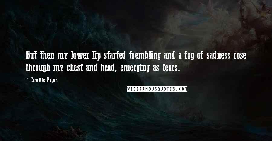 Camille Pagan Quotes: But then my lower lip started trembling and a fog of sadness rose through my chest and head, emerging as tears.