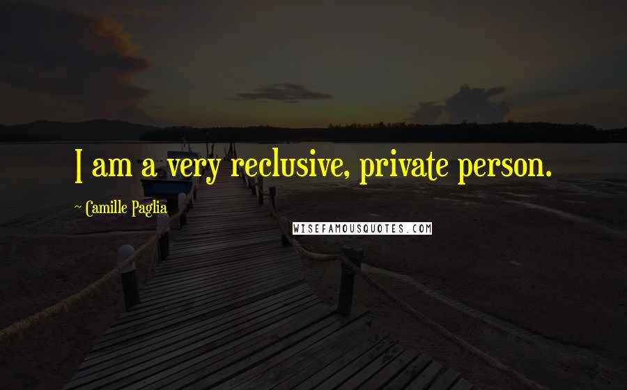 Camille Paglia Quotes: I am a very reclusive, private person.