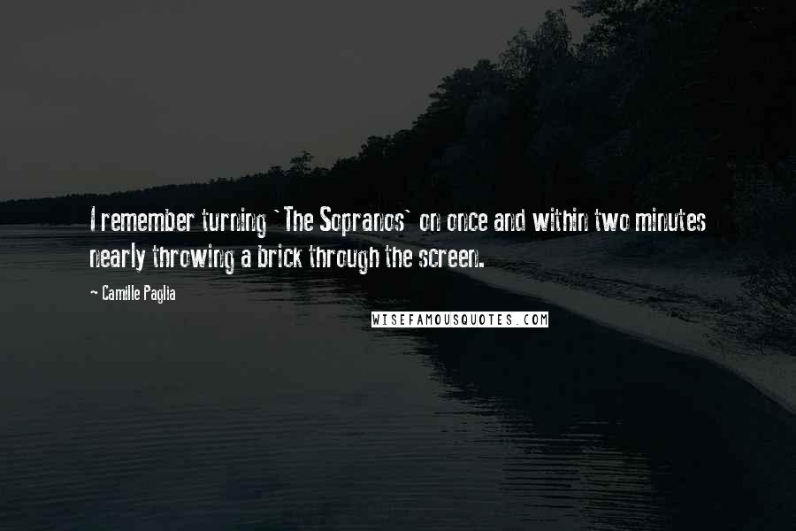 Camille Paglia Quotes: I remember turning 'The Sopranos' on once and within two minutes nearly throwing a brick through the screen.