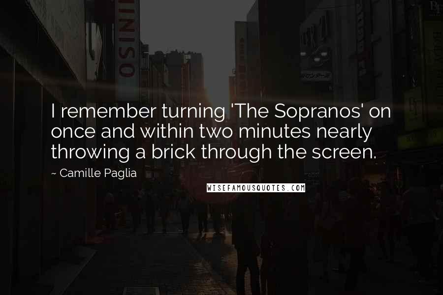 Camille Paglia Quotes: I remember turning 'The Sopranos' on once and within two minutes nearly throwing a brick through the screen.
