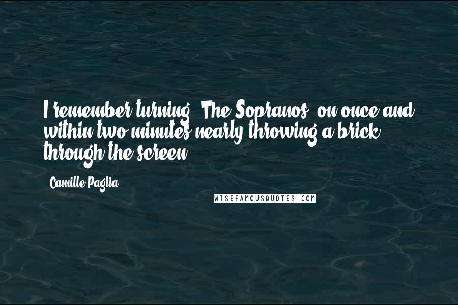 Camille Paglia Quotes: I remember turning 'The Sopranos' on once and within two minutes nearly throwing a brick through the screen.