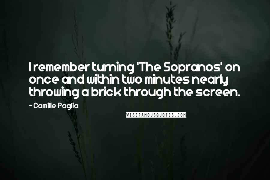 Camille Paglia Quotes: I remember turning 'The Sopranos' on once and within two minutes nearly throwing a brick through the screen.