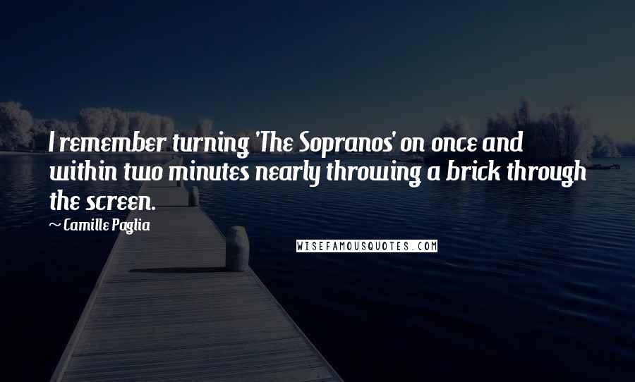 Camille Paglia Quotes: I remember turning 'The Sopranos' on once and within two minutes nearly throwing a brick through the screen.