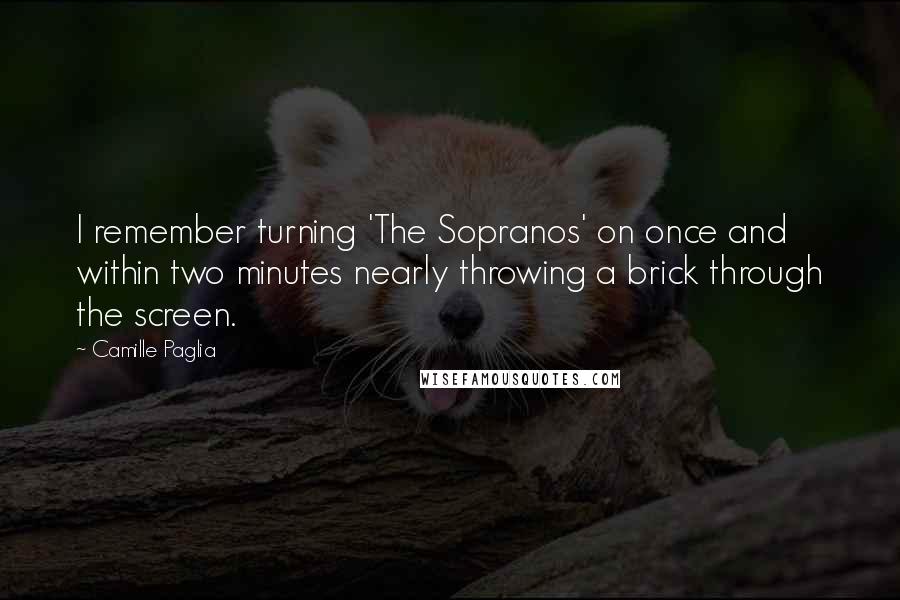 Camille Paglia Quotes: I remember turning 'The Sopranos' on once and within two minutes nearly throwing a brick through the screen.