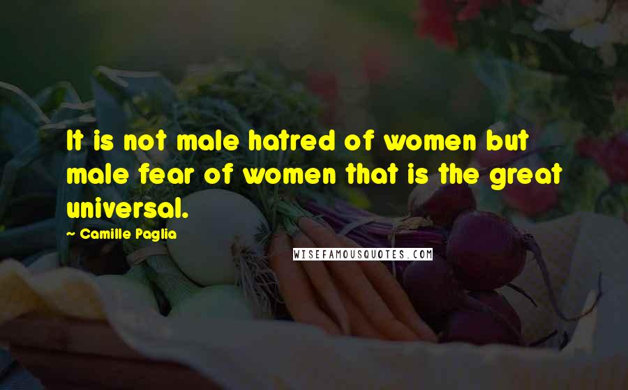 Camille Paglia Quotes: It is not male hatred of women but male fear of women that is the great universal.