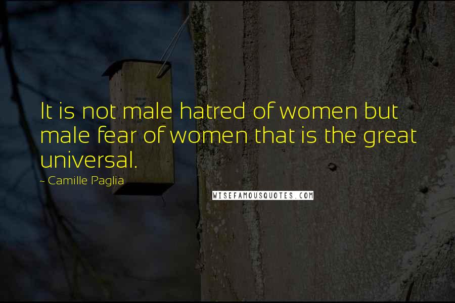 Camille Paglia Quotes: It is not male hatred of women but male fear of women that is the great universal.