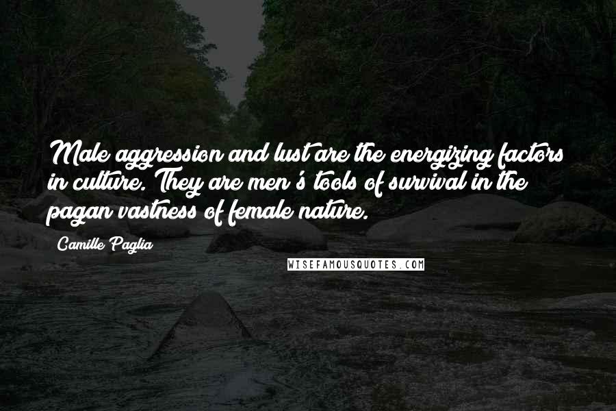 Camille Paglia Quotes: Male aggression and lust are the energizing factors in culture. They are men's tools of survival in the pagan vastness of female nature.