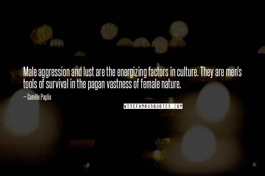 Camille Paglia Quotes: Male aggression and lust are the energizing factors in culture. They are men's tools of survival in the pagan vastness of female nature.