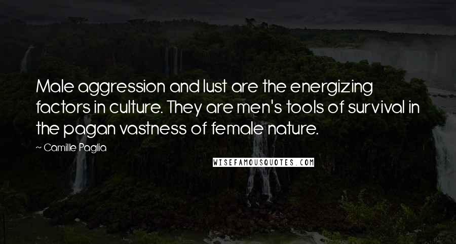 Camille Paglia Quotes: Male aggression and lust are the energizing factors in culture. They are men's tools of survival in the pagan vastness of female nature.