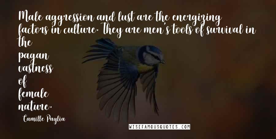 Camille Paglia Quotes: Male aggression and lust are the energizing factors in culture. They are men's tools of survival in the pagan vastness of female nature.