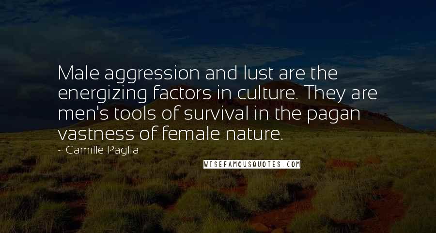 Camille Paglia Quotes: Male aggression and lust are the energizing factors in culture. They are men's tools of survival in the pagan vastness of female nature.