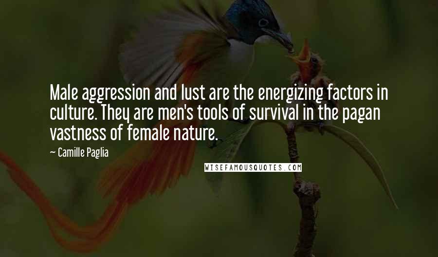 Camille Paglia Quotes: Male aggression and lust are the energizing factors in culture. They are men's tools of survival in the pagan vastness of female nature.