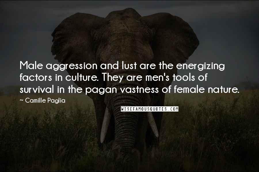 Camille Paglia Quotes: Male aggression and lust are the energizing factors in culture. They are men's tools of survival in the pagan vastness of female nature.