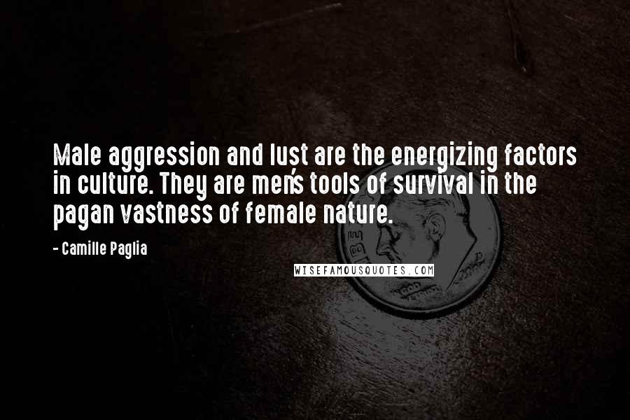 Camille Paglia Quotes: Male aggression and lust are the energizing factors in culture. They are men's tools of survival in the pagan vastness of female nature.